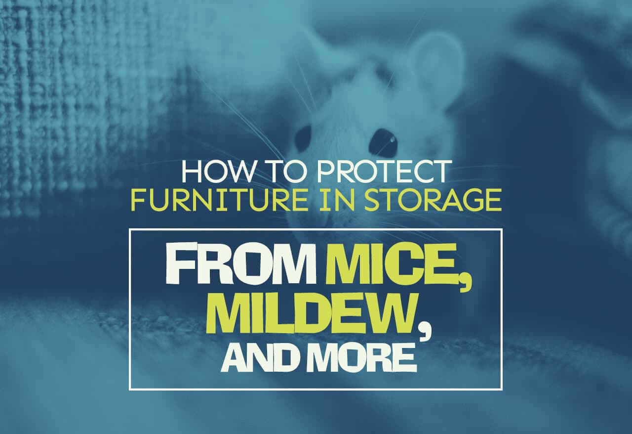 How to Protect Furniture in Storage from Mice, Mildew, and More